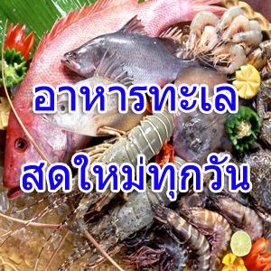 ขายส่งเดลิเวอรี่เมนูหมูเนื้อวัวไก่หมักนุ่มอาหารทะเลซีฟู้ดกุ้งหอยปูปลาปลาหมึกแมงกระพรุนแช่แข็งหมูกะทะร้านอาหารรับจัดโต๊ะจีนบุฟเฟ่ต์ปิ้งย่างเกาหลี Buffet Seafood Shabu BBQ Delivery